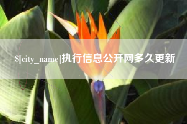 安阳执行信息公开网多久更新