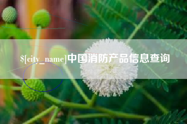 安阳中国消防产品信息查询