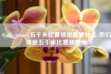 安阳五千米比赛领跑员是什么-他们就是五千米比赛领跑员