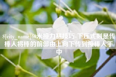 安阳60米接力赛技巧-下压式则是传棒人将棒的前部由上向下传到接棒人手中