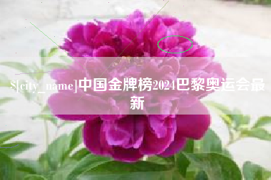 安阳中国金牌榜2024巴黎奥运会最新