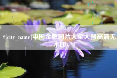 安阳中国金牌图片大全大图高清无水印