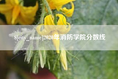 安阳2020年消防学院分数线