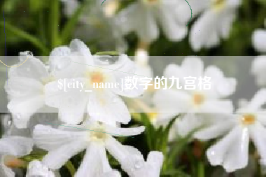 安阳数字的九宫格
