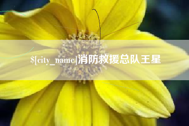 安阳消防救援总队王星
