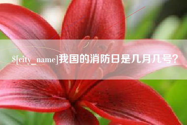 安阳我国的消防日是几月几号？