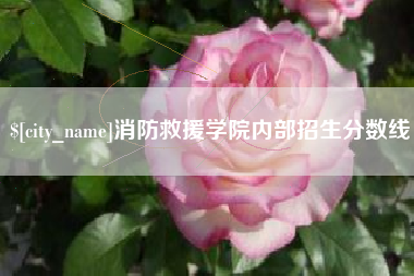 安阳消防救援学院内部招生分数线