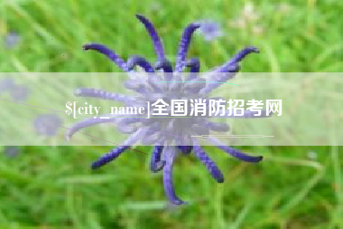 安阳全国消防招考网
