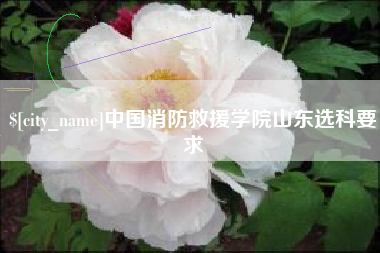 安阳中国消防救援学院山东选科要求
