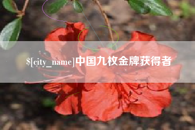 安阳中国九枚金牌获得者