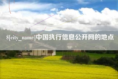 安阳中国执行信息公开网的地点