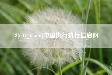 安阳中国执行执行信息网