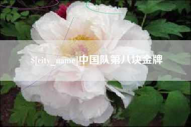 安阳中国队第八块金牌