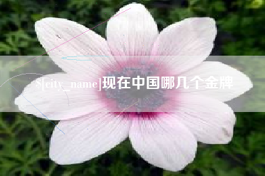 安阳现在中国哪几个金牌