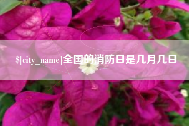 安阳全国的消防日是几月几日