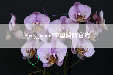 安阳中国消防官方
