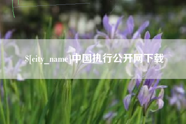 安阳中国执行公开网下载