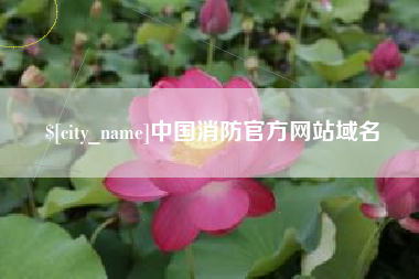 安阳中国消防官方网站域名