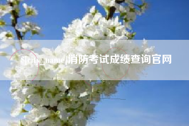 安阳消防考试成绩查询官网
