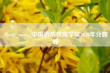 安阳中国消防救援学院2020年分数线
