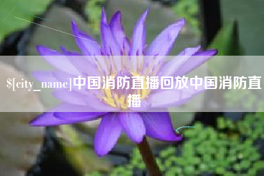 安阳中国消防直播回放中国消防直播