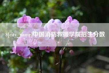 安阳中国消防救援学院招生分数