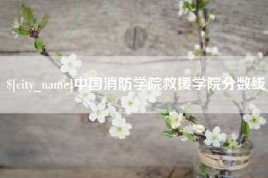 安阳中国消防学院救援学院分数线