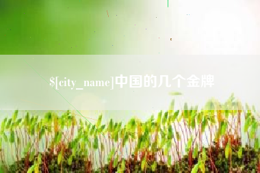 安阳中国的几个金牌