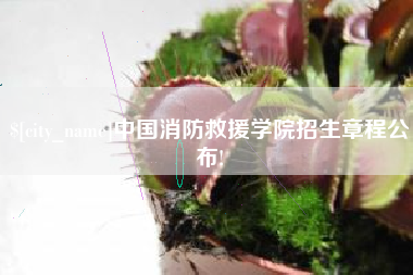 安阳中国消防救援学院招生章程公布!