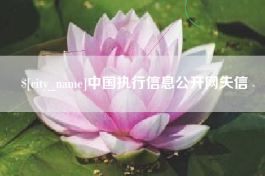 安阳中国执行信息公开网失信