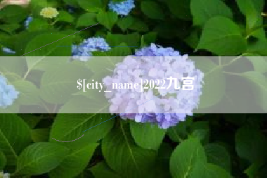 安阳2022九宫