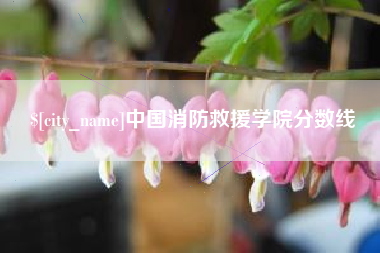 安阳中国消防救援学院分数线