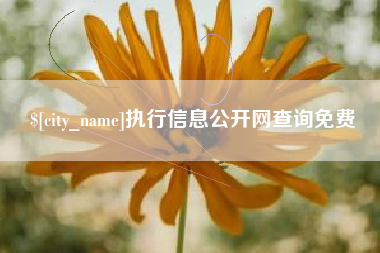 安阳执行信息公开网查询免费