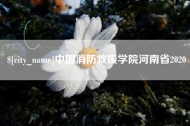 安阳中国消防救援学院河南省2020